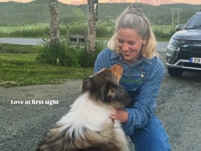 Dagny Norvoll Sandvik