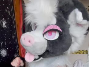 Alexpupstar