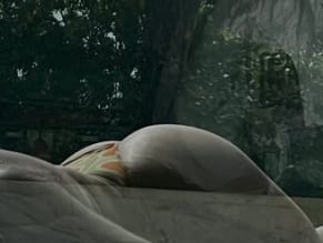 Ellesweats