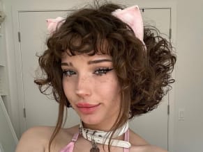 Cakedfeline