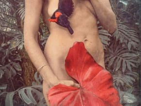 Flora Daria