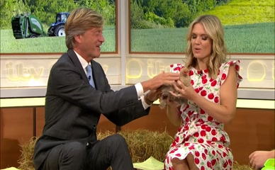 Charlotte Hawkins chicken toss nipslip.