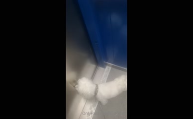 itsysabell lingerie elevator dog