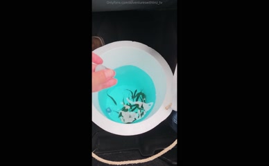 adventureswithlinztv fishing for bait