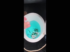 adventureswithlinztv fishing for bait