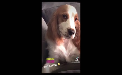 Amy Jo Simpson Pajama Reveal