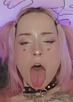 KITTY WILD