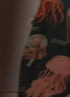 NEWT333
