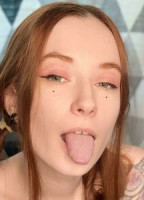 HARLEYSPY