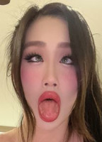 NIC0LEKITTY