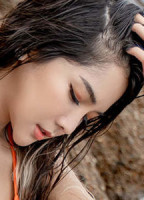 BAIBAIFERN