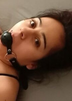 BEE_MAIN69