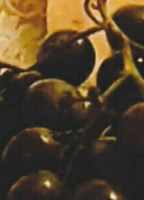 ZENOBIA92