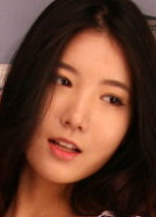CHULSA MODEL