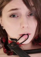 ANNTEASE