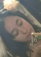 XSUGARVULPESX