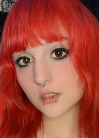 VANXHZFREE
