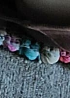 LILHIPPIETOES