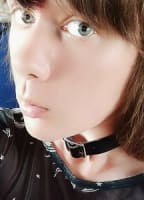 SASHA_FOXYQ