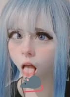 WARENSITA_._