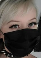 FITXKITTEN