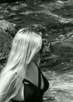 CORNI__