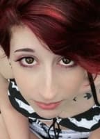 TWELVESHADE