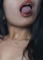 LU  LU1004