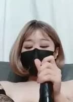 KOREANZIA