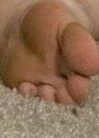 FLEXIBROOKE4FREE