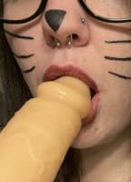 MYCATWITHCLAWS