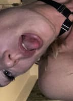 CHLOESMITHMODEL