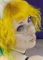 KITTEHGREYFREE