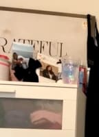 AMELIABRABUS