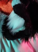 NAUGHTYWOOFS NUDE