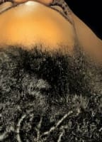 CARAMELSKYNN1