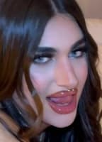 TRANSLOVE