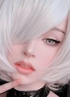 SHINXCOS