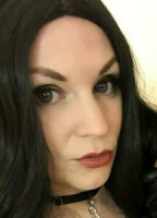 LITTLEREDFOX