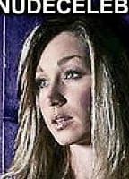 DOMINIQUE VAN HULST