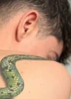 VINCENTOREILLYX NUDE