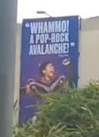 EXTREME JIGGLY CANDIDS