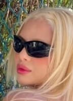 GATAS DE TERESINA PIAUI