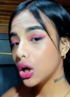 RILEYCINNAMON20X
