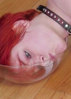 AVA LITTLE