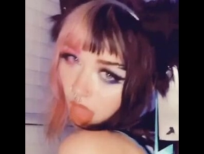 CUTELILKITTEN MEGA