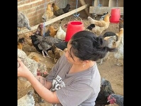 LA CRIADORA DE GALLINAS