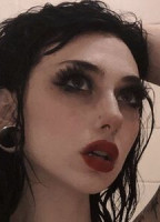 SHYSUGARS