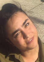 SHIRAZ VAKIL