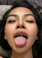 MISSVINZ